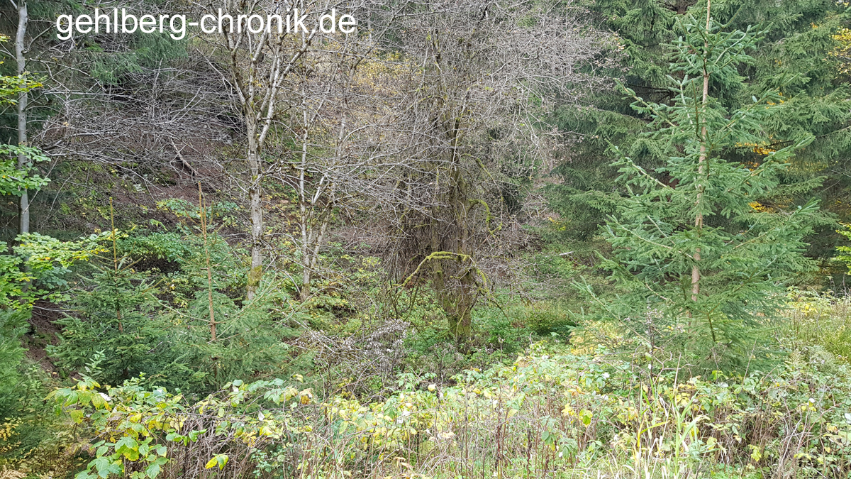 2024 032 Faekalienablage