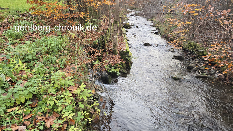 2025 115 Wassereinleitung